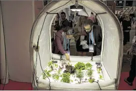  ?? EMILIO MORENATTI / ASSOCIATED PRESS ?? Visitors look at vegetables growing at Living Box, a mobile farming system developed in Israel, at the Four Years From Now show, one of the attraction­s at the Mobile World Congress in Barcelona, Spain.