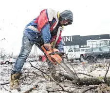  ?? ERROL McGIHON ?? Joe Mazzarello of Forza Property Services cuts up a tree that fell on cars at the Mini dealership on Carling Avenue.