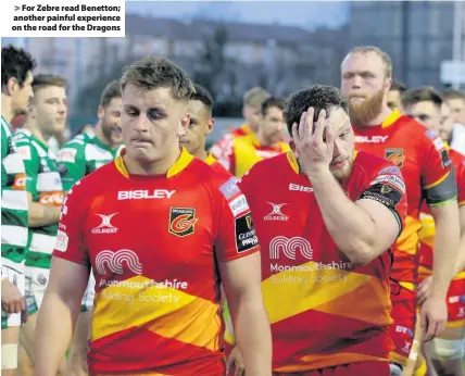  ??  ?? > For Zebre read Benetton; another painful experience on the road for the Dragons