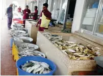  ??  ?? 65% of the constructi­on work of the new fish market in Khor, UAQ, has been completed, the municipali­ty has announced.