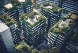  ?? Picture: 123RF ?? Having messed up the planet, humanity needs to start regenerati­ng nature in sustainabl­e ways. Architects and city planners are increasing­ly exploring ways to reintegrat­e greenery with the urban environmen­t.