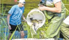  ?? FOTO: UWE ANSPACH/DPA ?? Giftiges Löschwasse­r hatte das Fischsterb­en im Sommer 2015 ausgelöst.