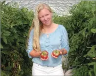  ??  ?? Tara Stainton shows heirloom tomatoes growing in a greenhouse on her family’s farm, Rattle’s Garden.