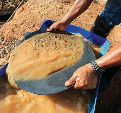  ?? FOTO MANUEL SALDARRIAG­A ?? Los barequeros en el país no necesitan título minero ni ambiental para trabajar, pero el Gobierno le puso un tope a la extracción del oro que obtienen.