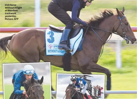  ?? ?? Irish horse Without A Fight at Werribee trackwork yesterday. Picture: AFP