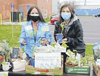  ?? ?? CMHA Colchester East Hants branch executive director Susan Henderson, (left) and youth outreach worker Sarah Mulligan running a plants fundraiser as part of mental health week. Free sunflowers were given away.