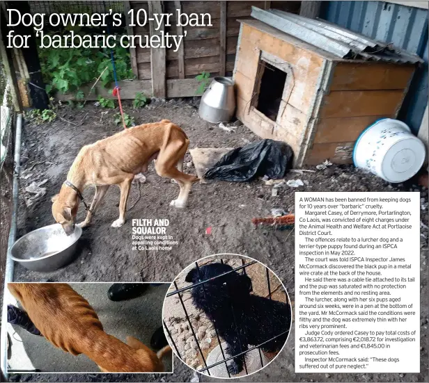  ?? ?? FILTH AND SQUALOR Dogs were kept in appalling conditions at Co Laois home