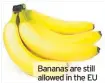  ??  ?? Bananas are still allowed in the EU