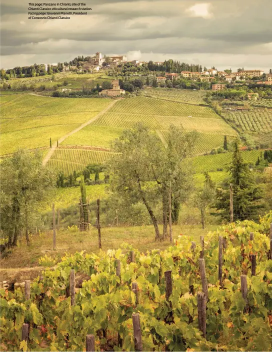CHIANTI CLASSICO | Decanter | PressReade­r