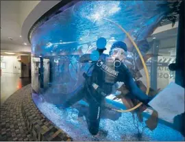  ?? Myung J. Chun Los Angeles Times ?? MARINE biologist Dan Gilboa cleans the aquarium at Union Station, part of the exhibit “City of Dreams/River of History” by May Sun and Richard Wyatt.