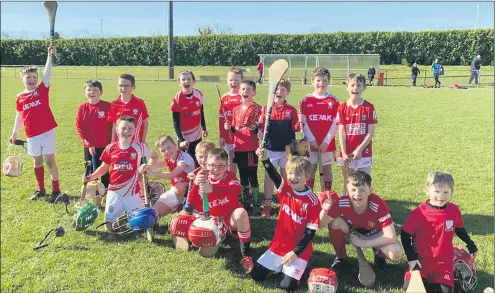  ?? ?? “Up The Hill” say Watergrass­hill U-9’s after their games against Fr. O’Neill’s.