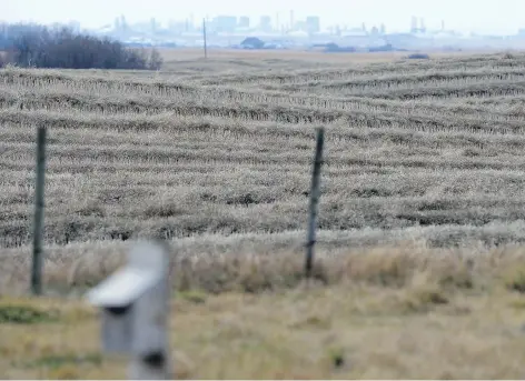  ?? TROY FLEECE ?? A field northeast of Regina is swathed. Crops remaining in some fields may only be harvested after the ground freezes.