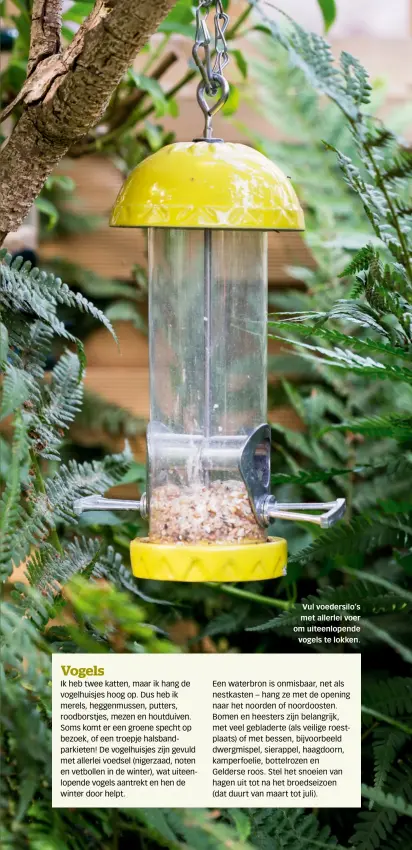  ??  ?? Vul voedersilo’s met allerlei voer om uiteenlope­nde
vogels te lokken.