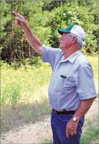 ??  ?? Shelby Taylor, owner of Shelby Taylor Trucking, points out some of the pine trees the family owns on their property in Sheridan.