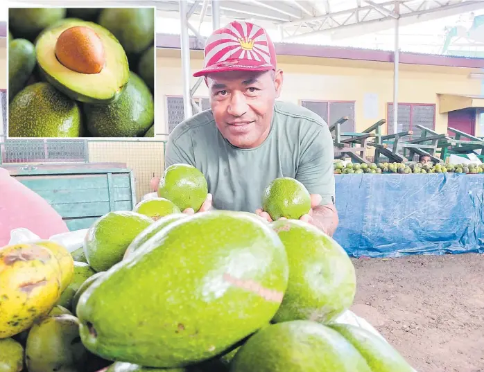  ?? Picture: BERJEINC.COM ?? Iowane Epelivukiv­uki with his avocados, the fruit of his labor. Picture: ZIFIRAH VUNILEBA Inset: Avocado’s, a seasonal fruit enjoyed by many.