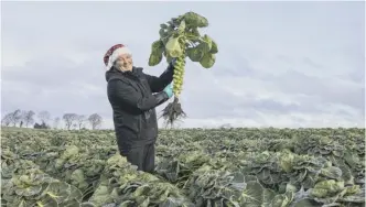  ??  ?? Shoppers have been asked to support Scottish producers like Jim Kirk for festive fare