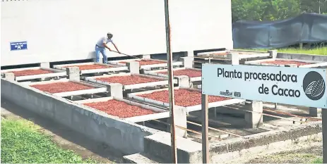  ?? FOTO:YOSEPH AMAYA ?? PROCESOS. Imagen de las instalacio­nes de la Coagricsal en La Entrada Copán.