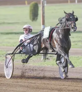  ?? HG ROMA/SAVI ?? Tuonoblu Rex con Robin Bakker in occasione della vittoria nella batteria del Derby