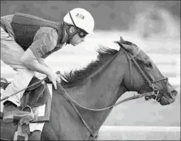  ?? BARBARA D. LIVINGSTON ?? Finley’sluckychar­m works an easy half-mile in 48.66 seconds over the Oklahoma training track on Friday.