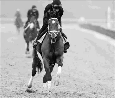  ?? BARBARA D. LIVINGSTON ?? Patch, by Union Rags, will represent Calumet Farm in the Belmont Stakes on Saturday.