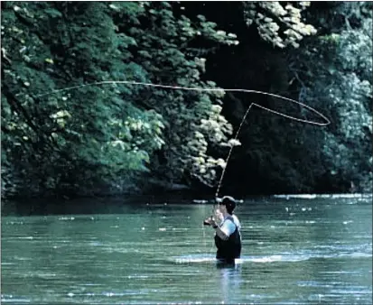  ??  ?? Fly casting takes a bit of practise, but it’s a superb way to relieve stress, expert Ryan Heitz says.