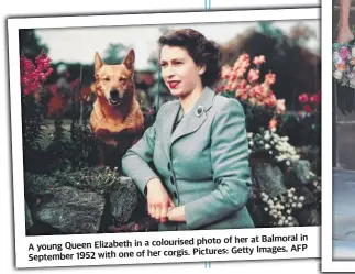  ?? ?? photo of her at Balmoral in A young Queen Elizabeth in a colourised corgis. Pictures: Getty Images, AFP September 1952 with one of her