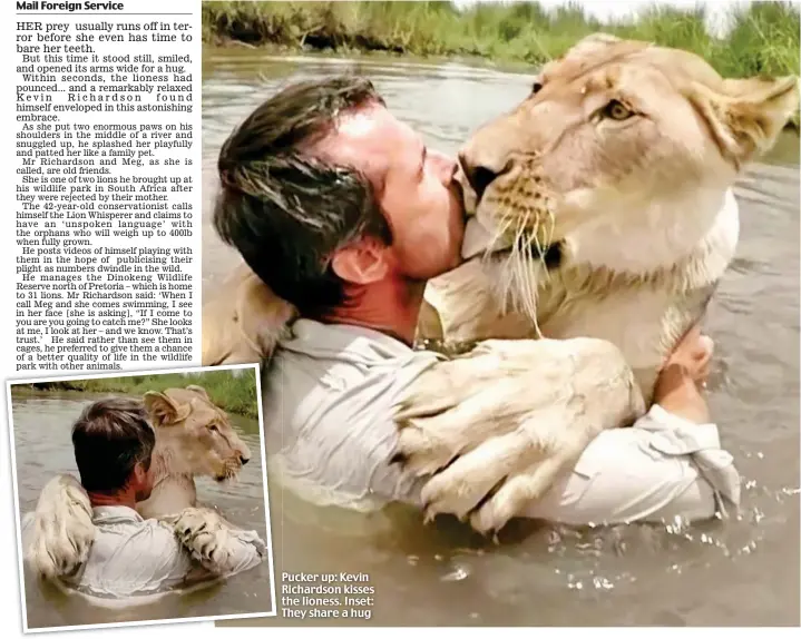  ??  ?? Pucker up: Kevin Richardson kisses the lioness. Inset: They share a hug