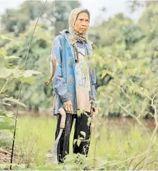  ?? ?? Tawu, 72, said she has struggled to grow rice on land that was cleared by the government for the Food Estate project in Pilang.