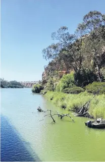  ??  ?? Pale jade . . . The Murray River looks like pale jade in late summer.