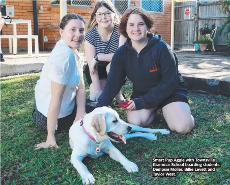  ??  ?? Smart Pup Aggie with Townsville Grammar School boarding students, Dempsie Moller, Billie Levett and Taylor West.