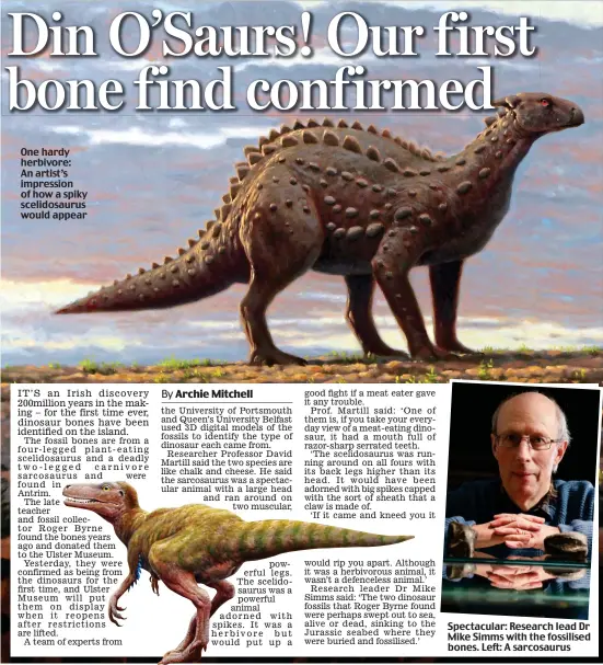  ??  ?? One hardy herbivore: An artist’s impression of how a spiky scelidosau­rus would appear
Spectacula­r: Research lead Dr Mike Simms with the fossilised bones. Left: A sarcosauru­s