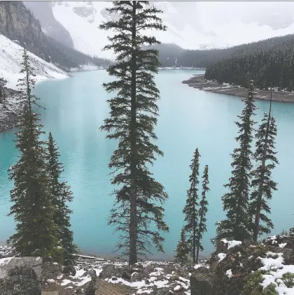  ?? MICHELE JARVIE ?? The provincial government’s video aimed at landing hub-city status for Edmonton during the NHL playoffs may be full of scenery that has little or nothing to do with Edmonton, but the ploy may have helped the cause a little, Terry Jones writes.