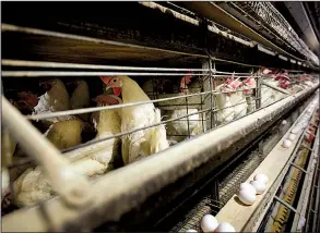  ?? AP file photo ?? With China reopening its market Thursday to U.S. poultry imports, U.S. trade representa­tive Robert Lighthizer said Americans “will now be able to export more than $1 billion worth of poultry and poultry products each year to China.”