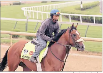  ?? Garry Jones/Associated Press ?? Gormley gallops Wednesday at Churchill Downs in Louisville, Ky., under exercise rider Francisco Alvarado. Gormley is trained by John Shireffs, one of four trainers in Saturday’s race with a Derby victory, and was listed Thursday at 15-1.