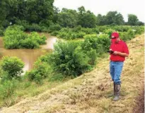  ?? Staff photo by Curt Youngblood ?? Aaron Posner with the U.S. Army Corps of Engineers inspects the levee system Sunday afternoon near Garland City, Ark. Water is approachin­g the levees, but is not expected to top them.