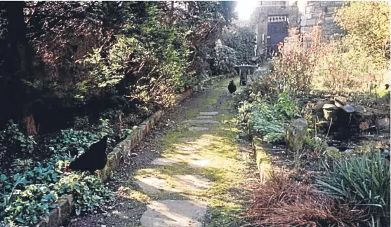  ??  ?? Ruth Walker of St Andrews has sent in this charming photograph of hens pecking in a St Andrews cottage garden.