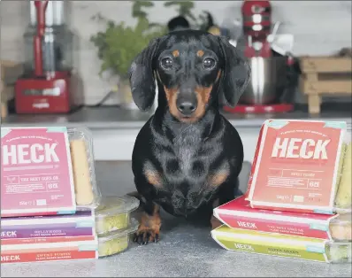  ?? PICTURE: GLEN MINIKIN ?? ‘PREMIUM’ OPTION: Miniature dachshund Honey with some of Heck’s growing range of vegan products.
