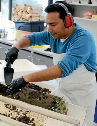  ?? PHOTOS: LANDCARE RESEARCH ?? PHD student Jonathan Nunez digs into a core sample, sorting soil specimens for DNA testing.