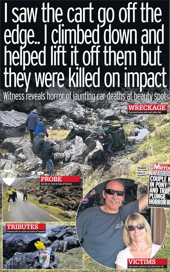  ??  ?? Gardai on road at Gap of Dunloe Flowers left on rocks at scene of tragedy Panicked horse with cart after fall TRAGIC Our front page on accident Normand Larose & Joy Few from US