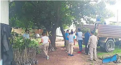  ?? (GENTILEZA LUCAS MARENCHINO) ?? Árboles. El consorcio San Miguel ejecuta un programa denominado “Cada árbol suma”.