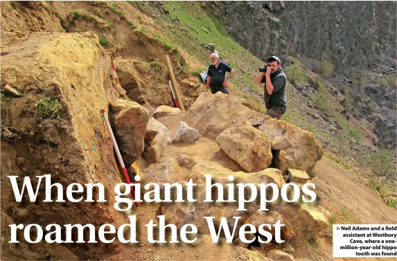  ?? ?? > Neil Adams and a field assistant at Westbury
Cave, where a onemillion-year-old hippo
tooth was found