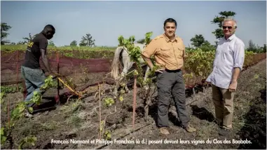  ??  ?? François Normant et Philippe Franchois (à d.) posent devant leurs vignes du Clos des Baobabs.