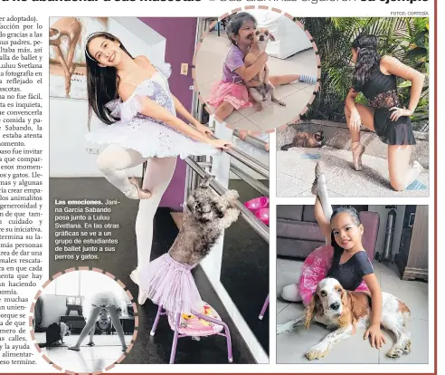  ??  ?? Las emociones. Janina García Sabando posa junto a Luluu Svetlana. En las otras gráficas se ve a un grupo de estudiante­s de ballet junto a sus perros y gatos.