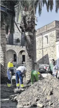  ?? CEDIDA ?? Operarios municipale­s de jardinería realizan labores.