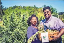  ?? DONALD REX BISHOP/GREEN HEFFA FARMS INC. ?? Clarenda “Cee” Stanley-Anderson and her husband, Malcolm Anderson Sr., at their hemp farm in Liberty, N.C. Congress has voted to legalize hemp, and President Donald Trump is expected to sign the bill.