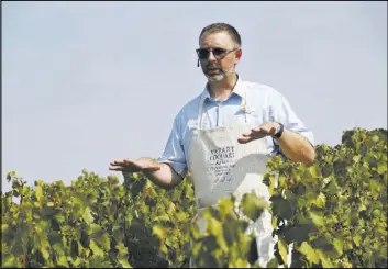  ?? Thibault Camus The Associated Press ?? Winemaker Jean-Pierre Vazart among the vineyards during the harvest season Tuesday, in the Champagne region, in Chouilly, France.