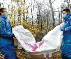  ?? Fotos: Bernhard Weizenegge­r ?? Das Wildschwei­n wird von zwei Bergehelfe­rn in einem speziellen Sack aus dem Wald getragen. Anschließe­nd wird das Tier sicher entsorgt.