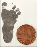  ??  ?? So tiny: Footprint next to 1p coin