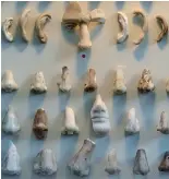  ?? ?? Spare parts: Ears and noses at the Glyptotek museum, Copenhagen