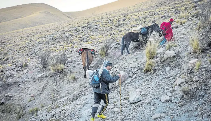  ?? FOTOS: MARIO QUINTEROS (ENVIADO ESPECIAL) ?? Travesía. El maestro hace el recorrido hasta la escuela de montaña una o dos veces por mes. Reclama que abran un camino para vehículos.